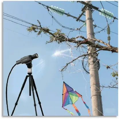 State Grid laser tree trimming